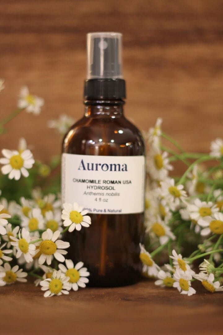Chamomile Roman USA Hydrosol – Anthemis nobilis
