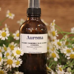 Organic Chamomile Blue (German) Hydrosol - Matricaria chamomilla L.