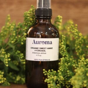 Organic Sweet Annie Hydrosol – Artemisia annua